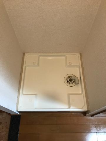 19/26 その他画像