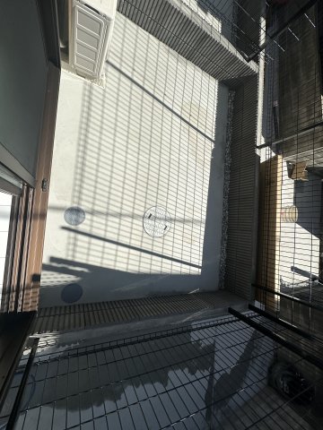 13/20 バルコニー