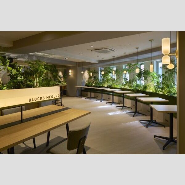 7/17 その他画像