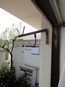 11/16 その他画像