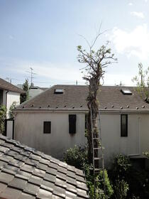 12/16 その他画像