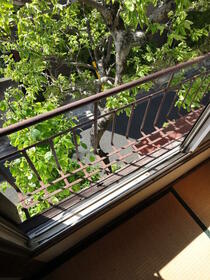 9/14 その他画像