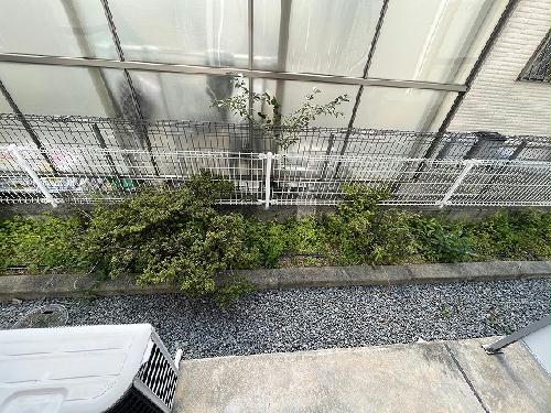 11/15 その他画像