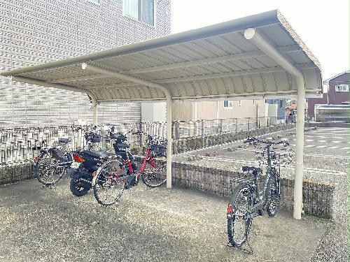 11/19 その他画像