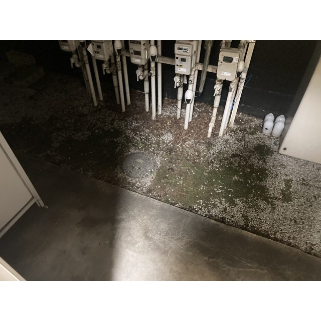 18/21 その他画像