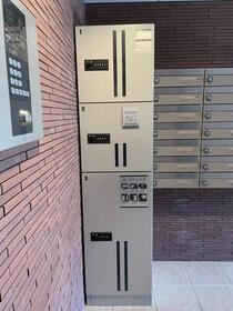 15/16 その他画像