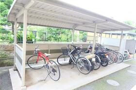 14/17 その他画像