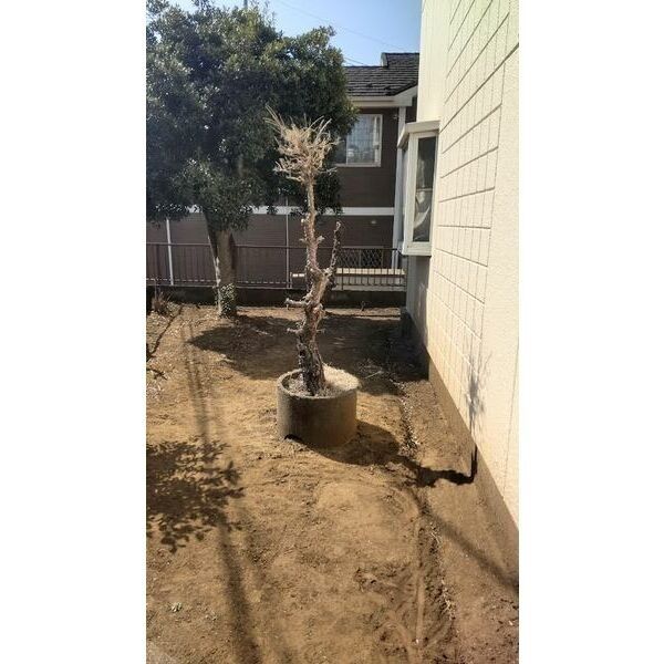 7/11 その他画像