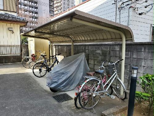 11/14 その他画像