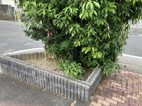 12/14 その他画像