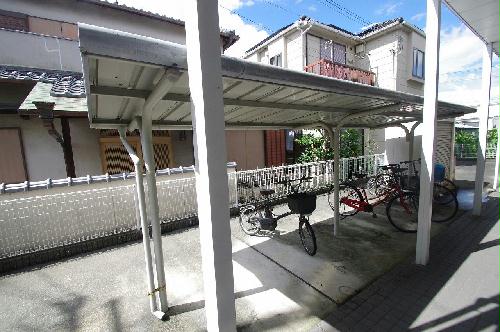 8/19 その他画像