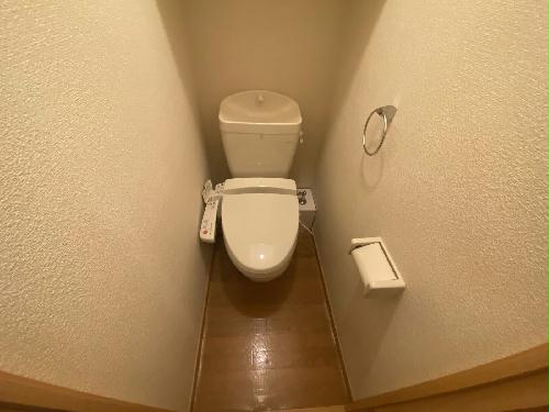 8/14 その他画像