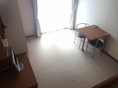 11/13 その他画像