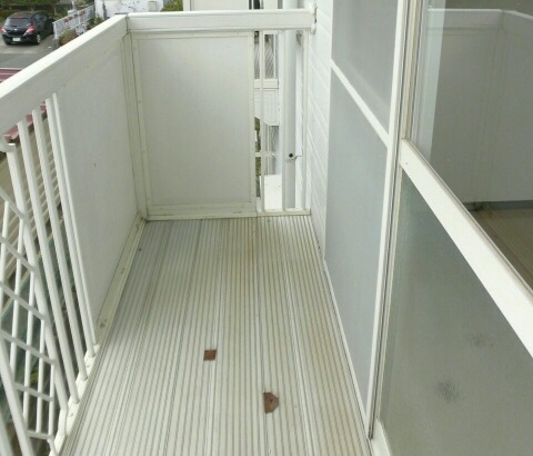 12/20 バルコニー