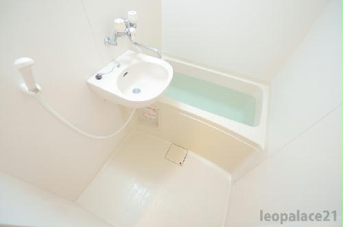 11/16 その他画像