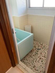 8/16 その他画像