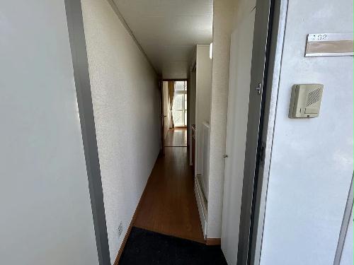 11/14 その他画像