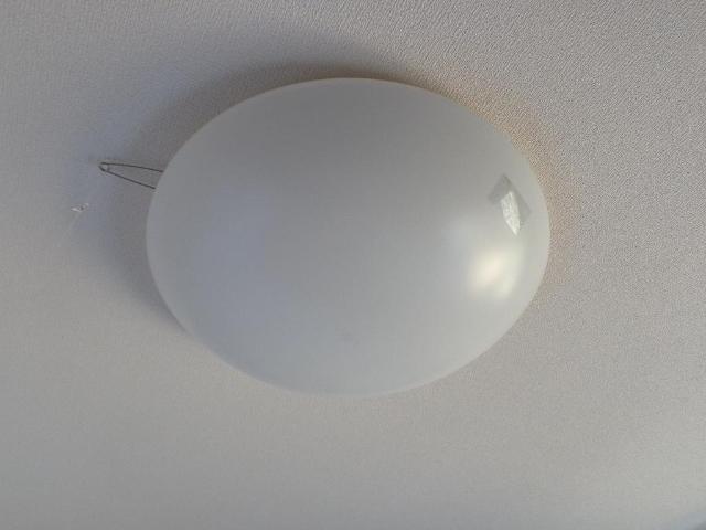 21/26 その他画像