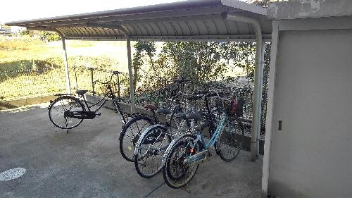 13/14 その他画像