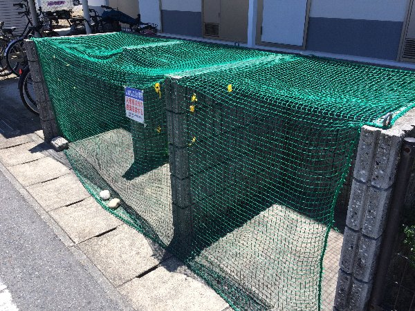 15/29 その他画像