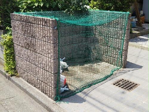 13/14 その他画像