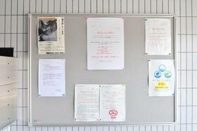 13/16 その他画像