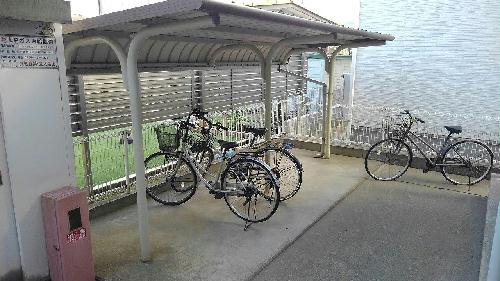 12/14 その他画像