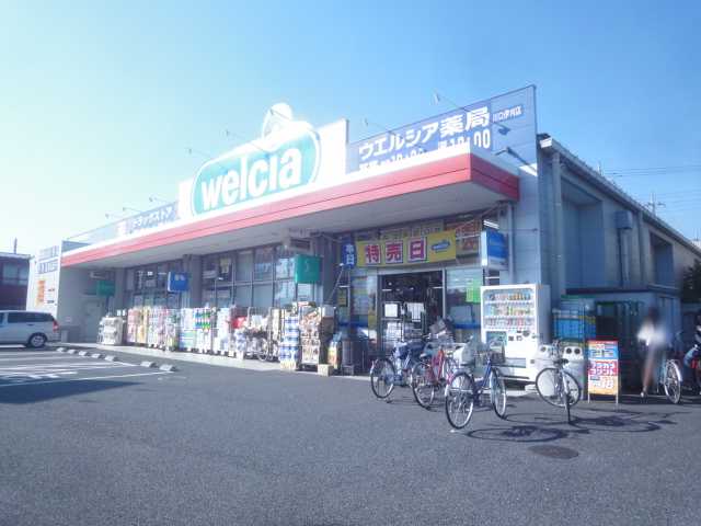 5/6 周辺