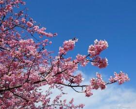 16/17 その他画像