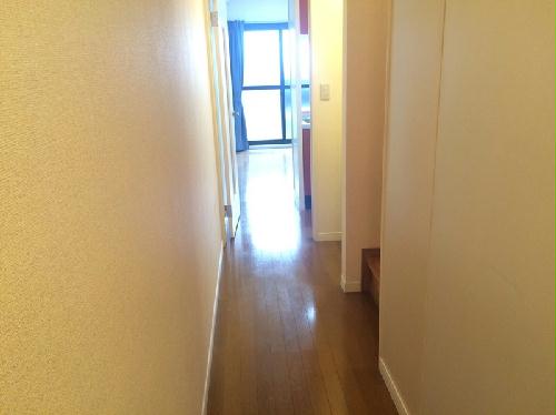 8/14 その他画像