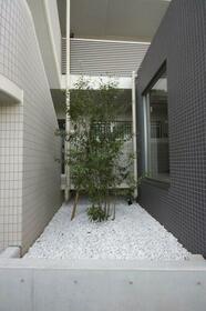 6/15 その他画像