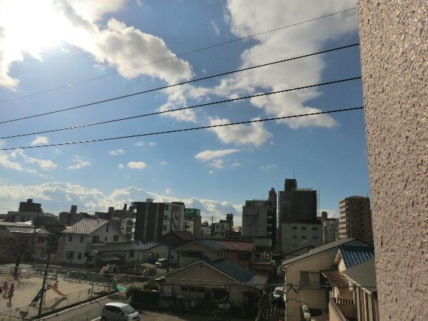 その他画像