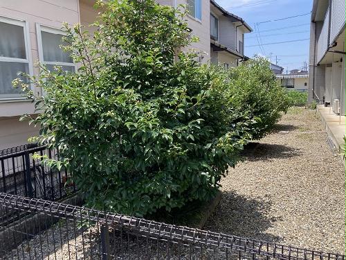 11/14 その他画像