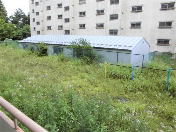 13/16 その他画像