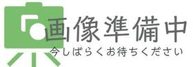 4/14 その他画像