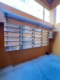 5/17 その他画像