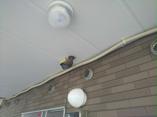 14/14 その他画像