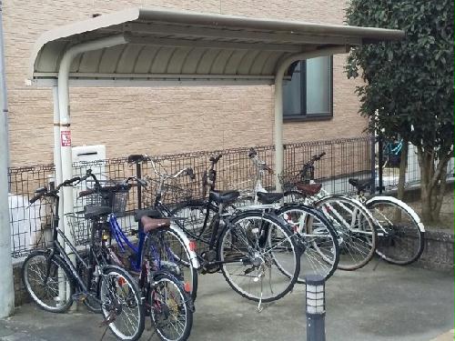 11/23 その他画像