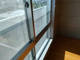 11/11 その他画像