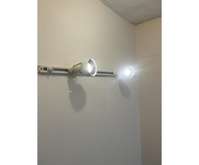 29/29 その他画像