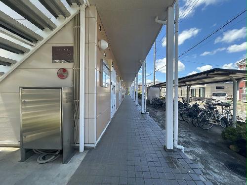 4/13 その他画像