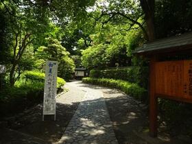 15/16 その他画像