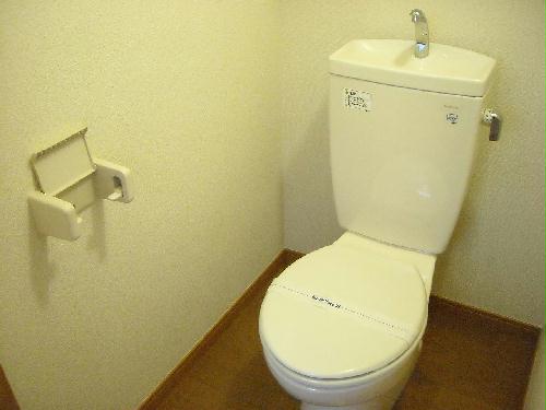 11/17 その他画像