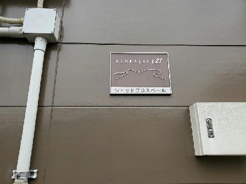 13/15 その他画像