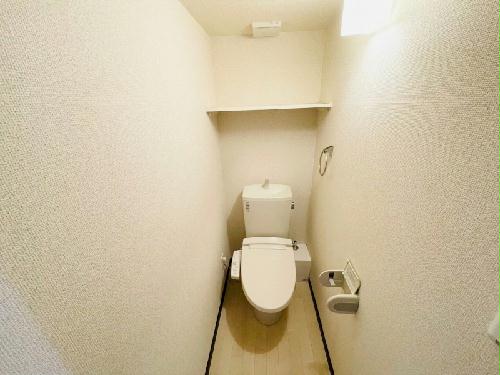 9/15 その他画像