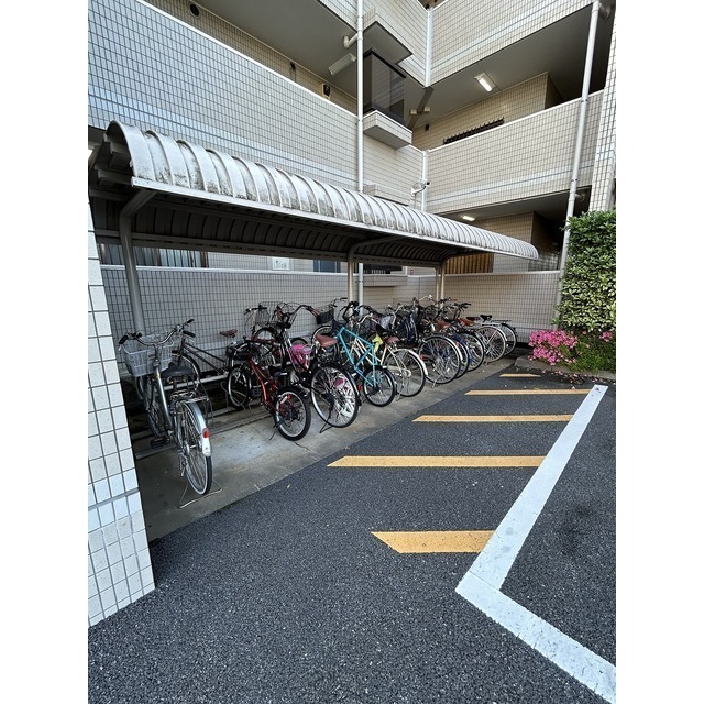 5/11 その他画像