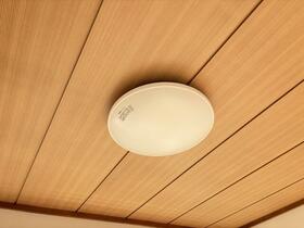 15/16 その他画像