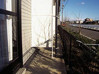 11/12 その他画像