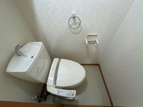 8/14 その他画像