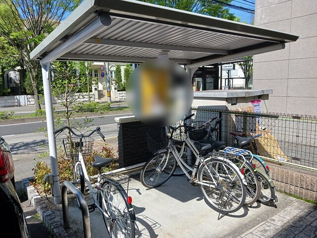 13/20 その他画像